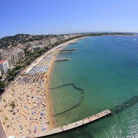 Centre Ville 10 Min De La Croisette/Downtown Cannes Bagian luar foto